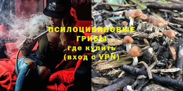 сатива Алексеевка