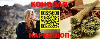 гидра Краснознаменск