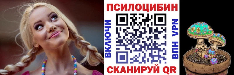 Псилоцибиновые грибы Psilocybe  кракен рабочий сайт  Строитель 